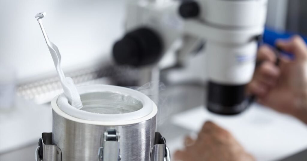 Especialistas explicam os objetivos do congelamento de óvulos a dr. Kalil