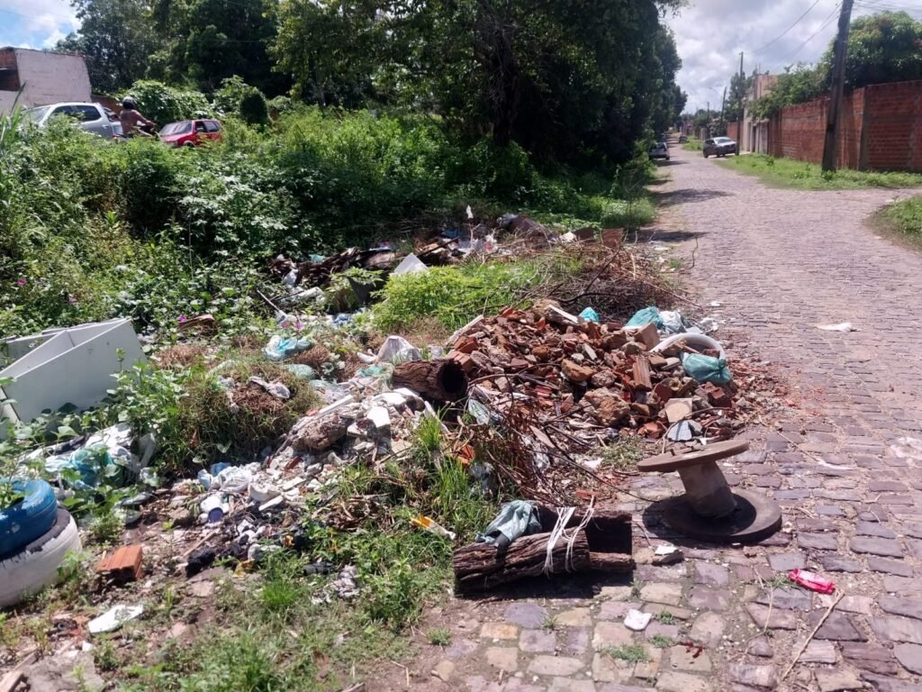 Moradores do Loteamento Mocambinho denunciam mato alto e falta de limpeza pública