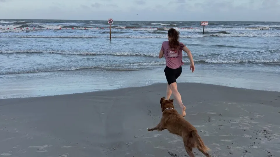 Astronauta retorna à Terra e reencontra cadela após missão histórica à Lua