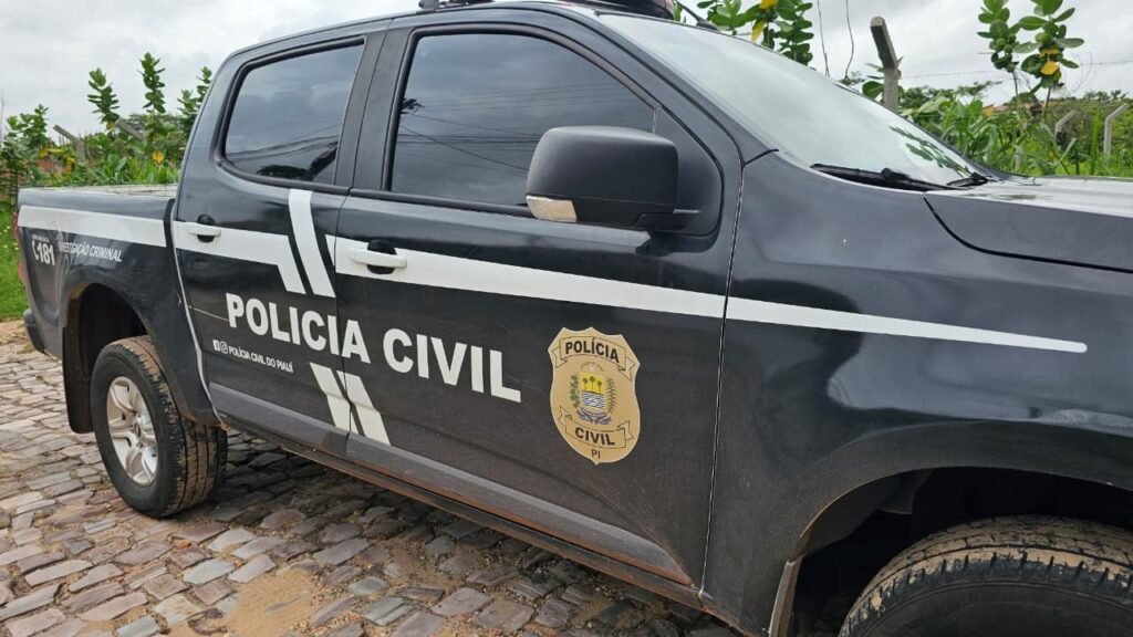 Operação nacional no Piauí e 16 estados combate crimes sexuais e discurso de ódio