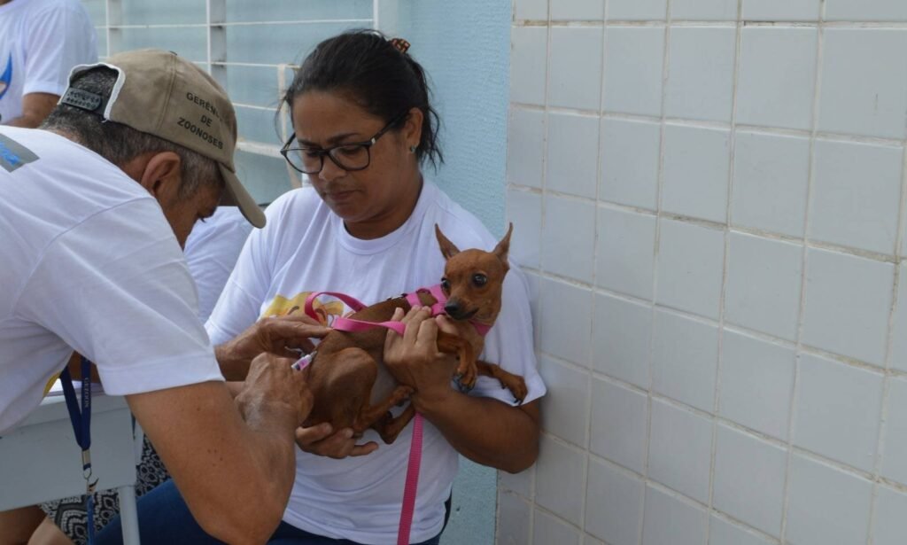 Campanha de vacinação contra a raiva em Teresina: locais e datas