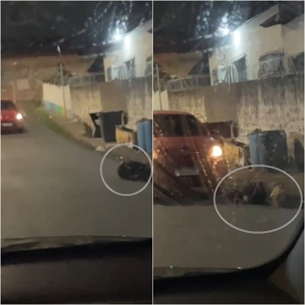 Homem em situação de rua é preso após ser atropelado em Teresina