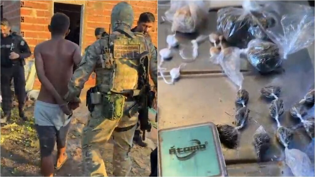 Polícia realiza operação e prende quatro suspeitos em Elesbão Veloso