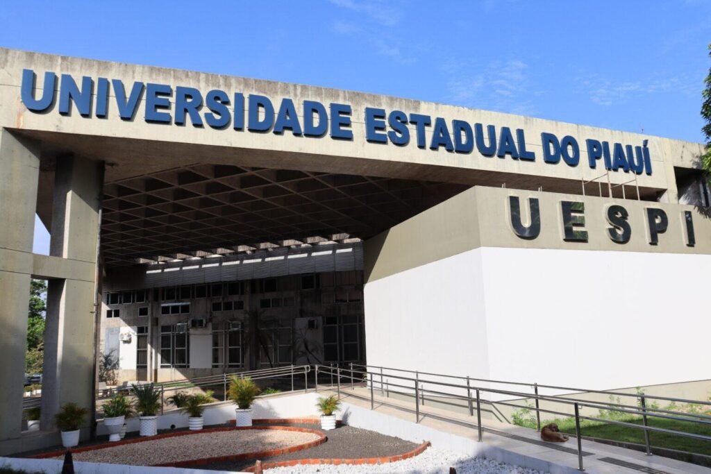 Uespi oferece curso gratuito de mandarim com aulas online a partir de maio