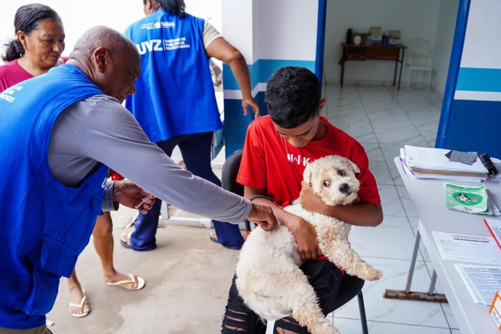 Vacinação, castração e microchipagem gratuitas para pets em Teresina neste sábado