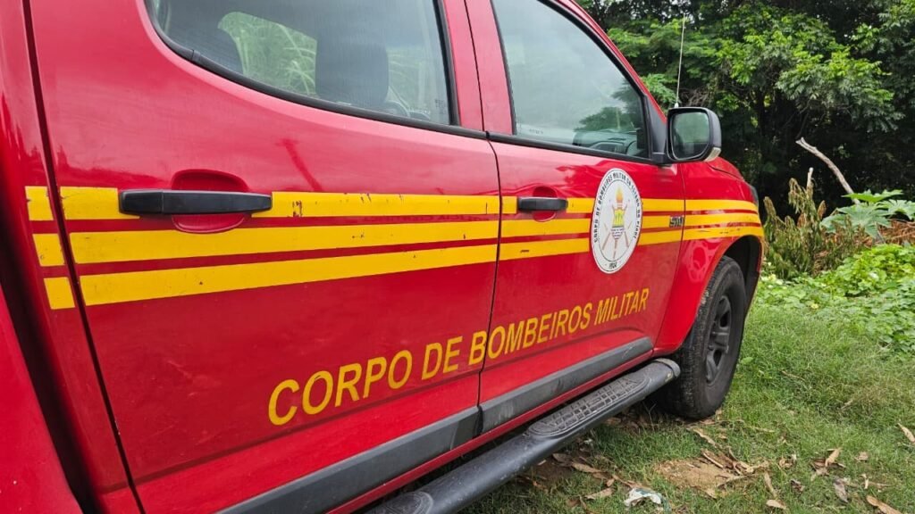 Motociclista morre em acidente na Pi-130 após colidir com árvore