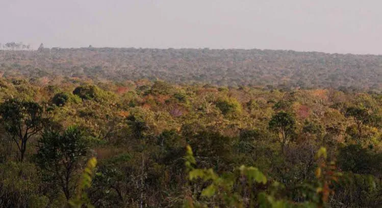 Piauí registra 22 defensores de direitos humanos protegidos em 2025