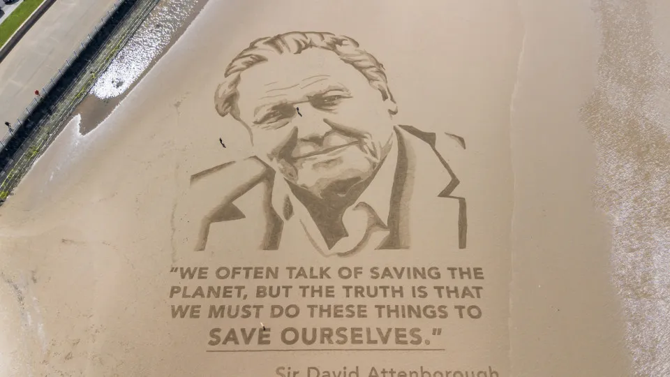 David Attenborough celebra 100 anos com documentário sobre gorilas