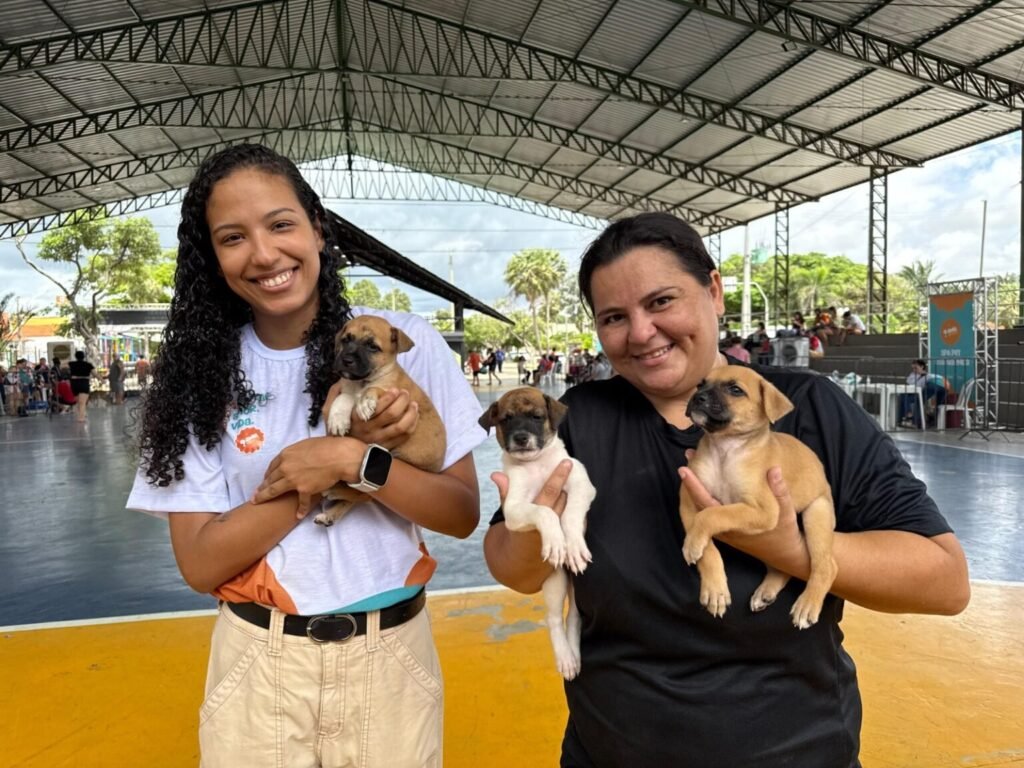 Piauí lança edital para seleção de entidades que cuidarão de animais resgatados