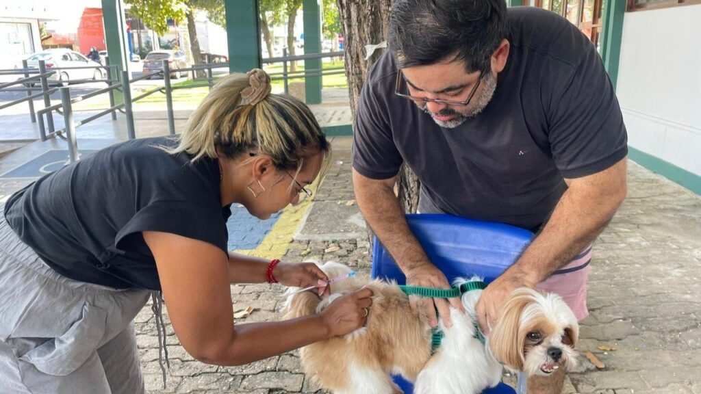 Vacina antirábica segue disponível na Gerência de Zoonoses em Teresina