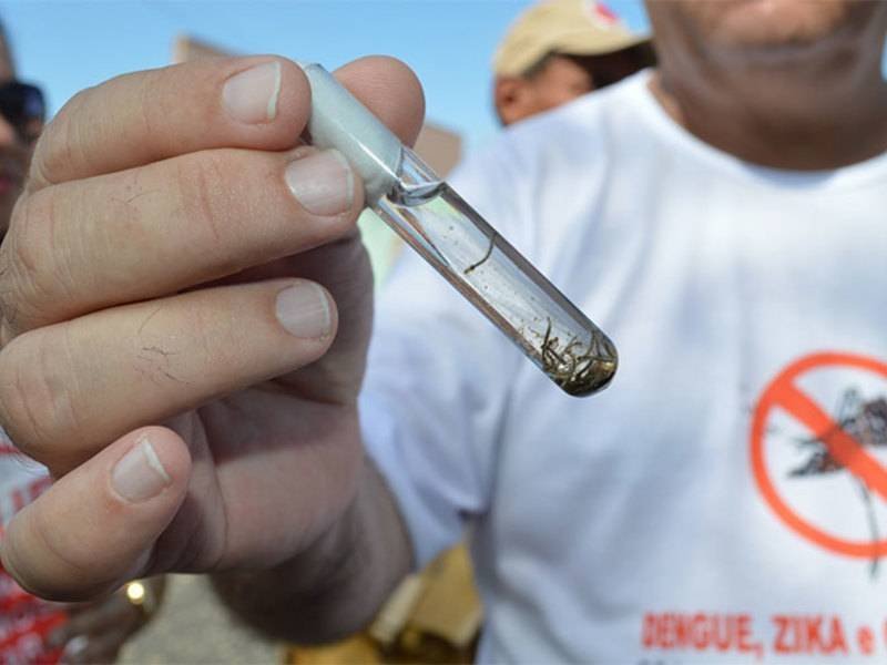 Teresina registra primeira morte por dengue em 2026