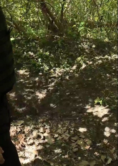 Corpo de adolescente desaparecido é encontrado em Buriti dos Lopes, Piauí