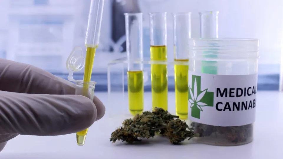 Mulheres acima de 45 anos dominam o mercado de cannabis medicinal no Brasil