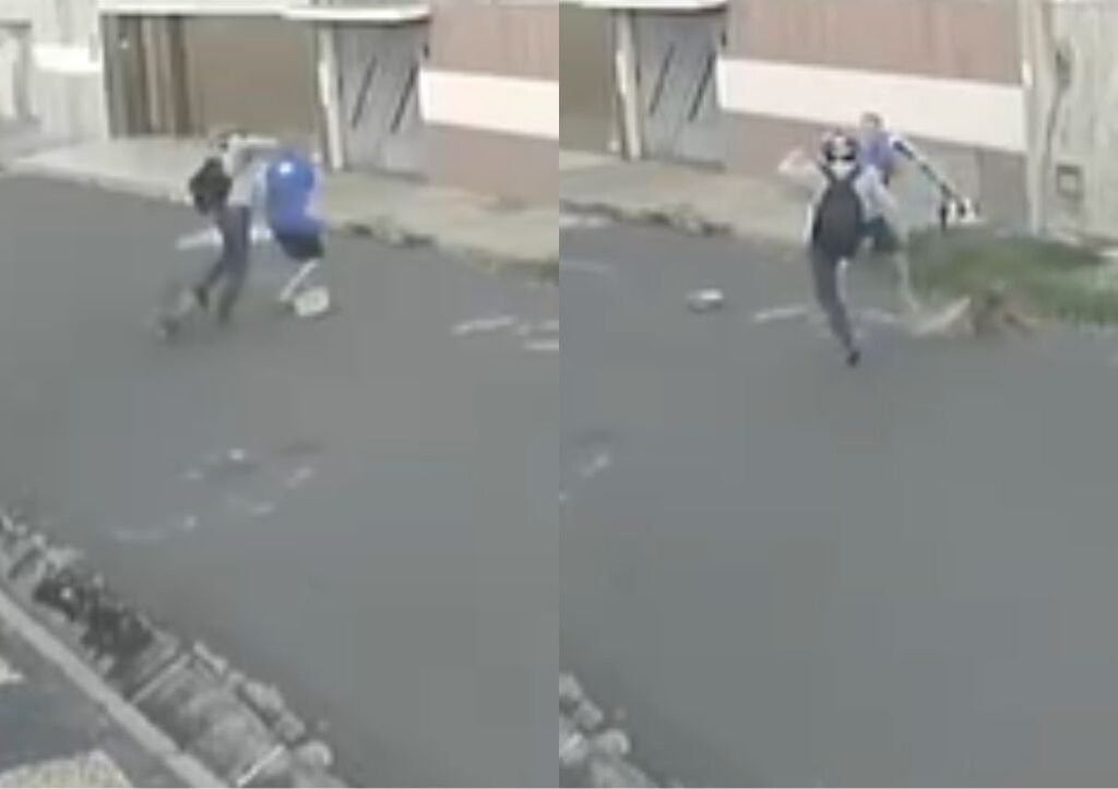 Idoso e cachorro agredidos em Teresina; suspeito é indiciado