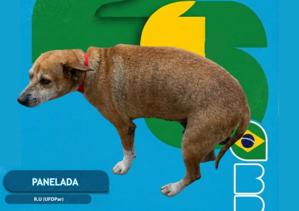 Ufdpar promove campanha para cuidado com animais no campus