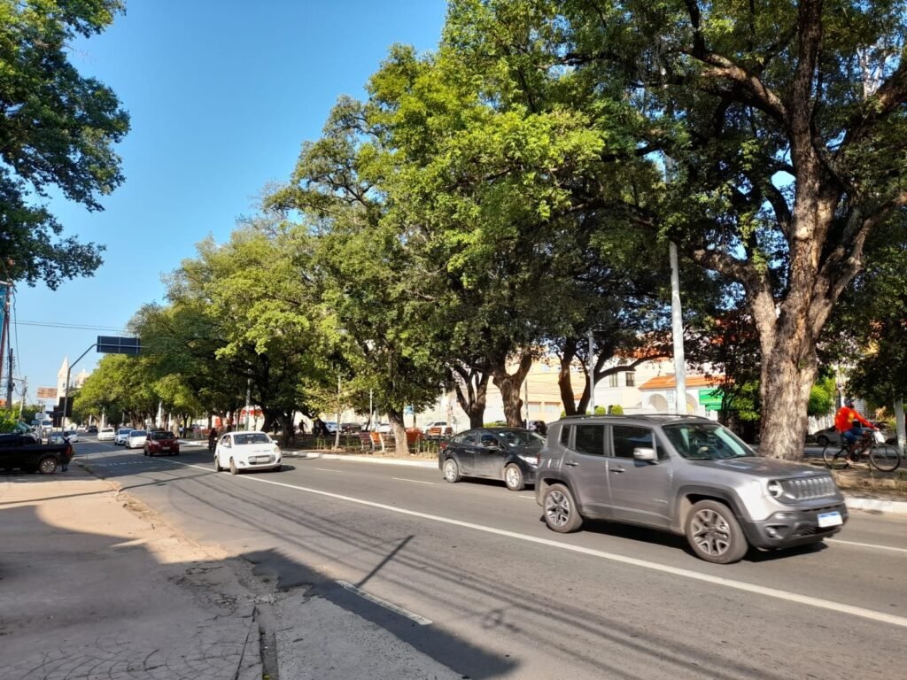 Projeto de Silvio Mendes proíbe corte de árvores sem autorização e prevê multas de até R$ 20 mil