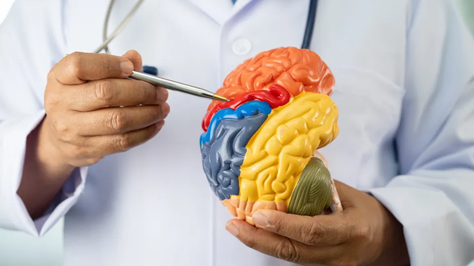 Cinco hábitos que prejudicam a saúde do cérebro, segundo neurologistas