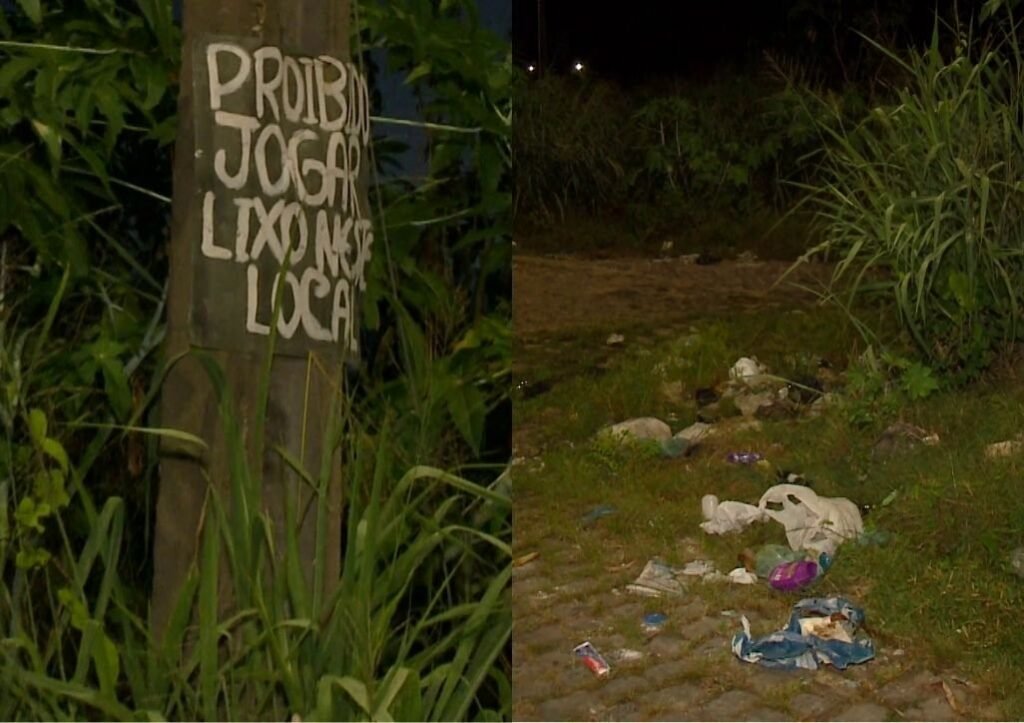 Terrenos baldios em Teresina acumulam lixo e afetam saúde e segurança