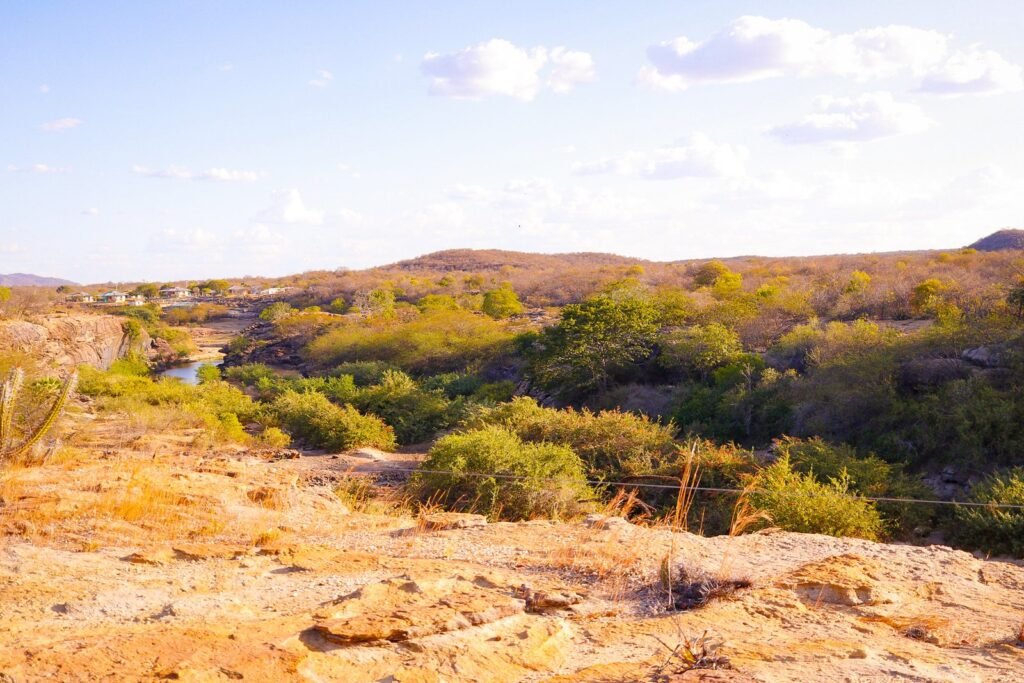 Inverno no Piauí será seco e com madrugadas amenas, prevê Semarh