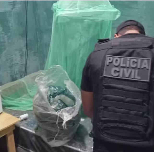 Polícia Civil realiza operação contra suspeito de abuso sexual infantil em Pedro II