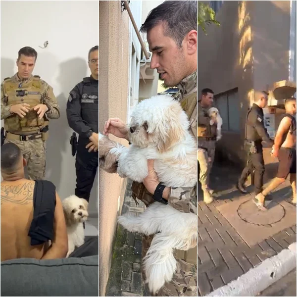 Cachorro acompanha tutor durante prisão em Teresina e emociona agentes policiais
