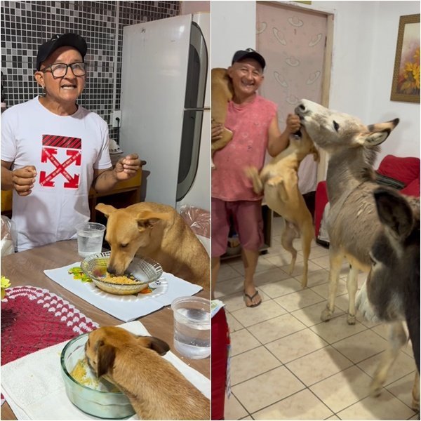 Família de pets encanta internautas com rotina inusitada no Piauí