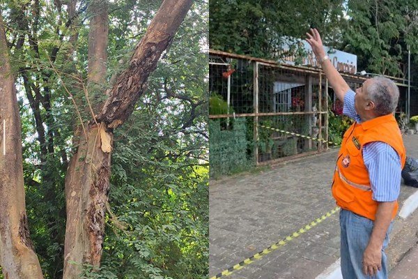 Trecho de calçada é interditado em frente ao Shopping Natureza por risco de queda de galho