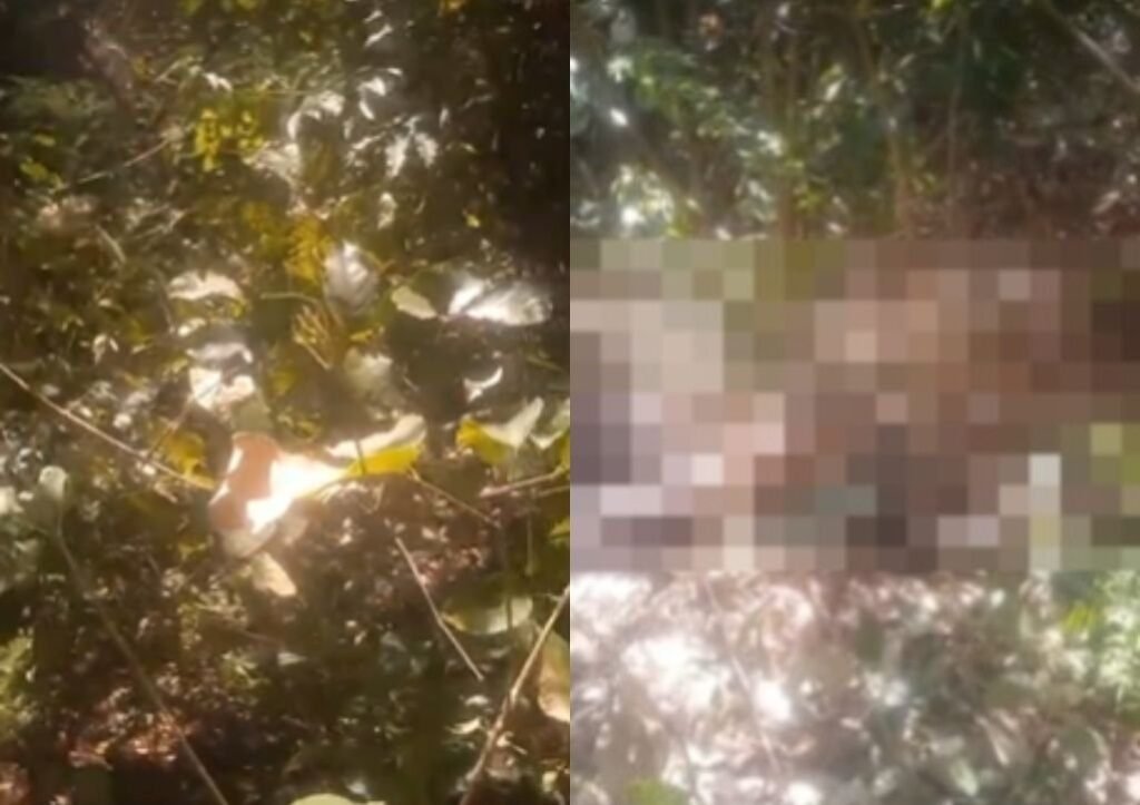 Corpo de homem é encontrado em mata no Parque Jacinta, em Teresina