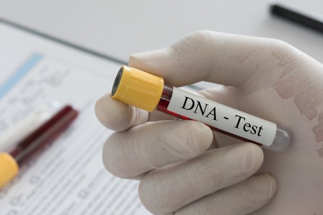 Inscrições abertas para exames de DNA gratuitos em Teresina