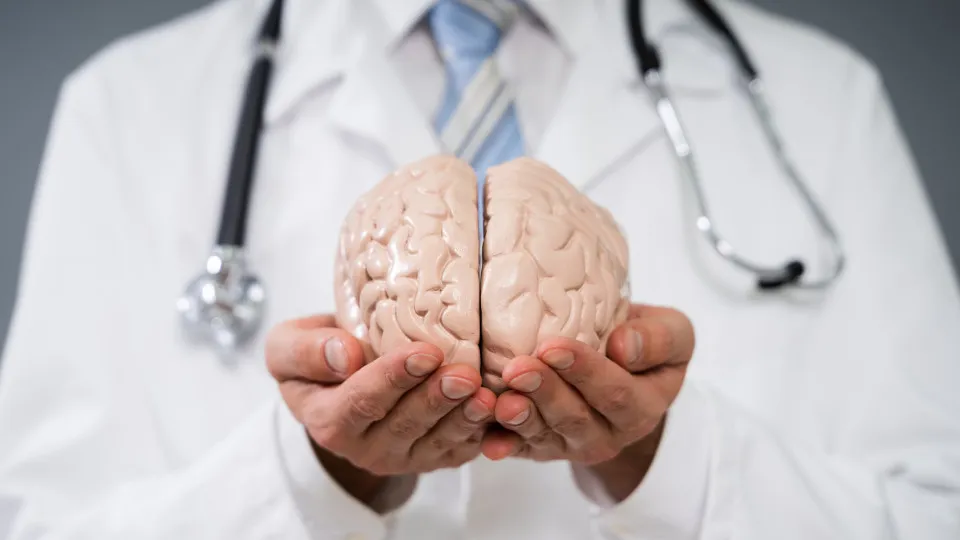 Neurologistas alertam para o consumo de álcool que acelera o envelhecimento cerebral