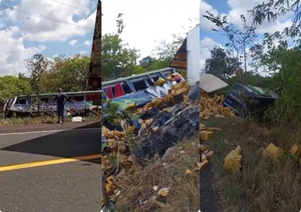 Acidente fatal entre ônibus e carreta na Br-316 deixa três mortos no Maranhão