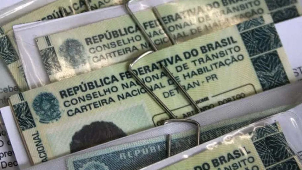 Câmara aprova suspensão da CNH para quem abandonar animais na rua