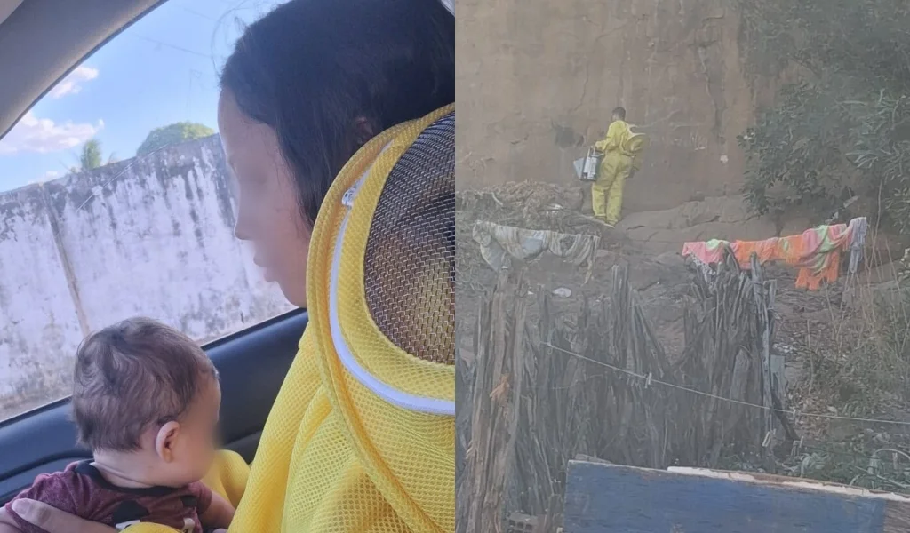 Mãe e bebê são resgatados após ataque de abelhas em Oeiras; cadela não sobreviveu