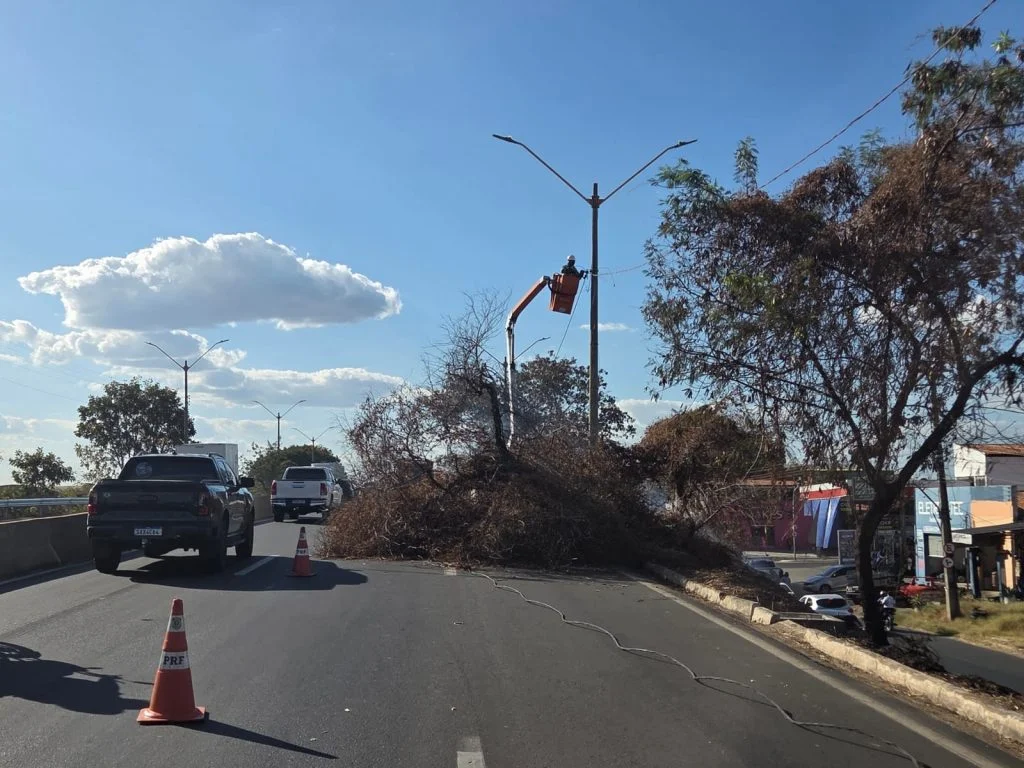 Trecho da Br-316 permanece interditado após incêndio em árvore em Teresina
