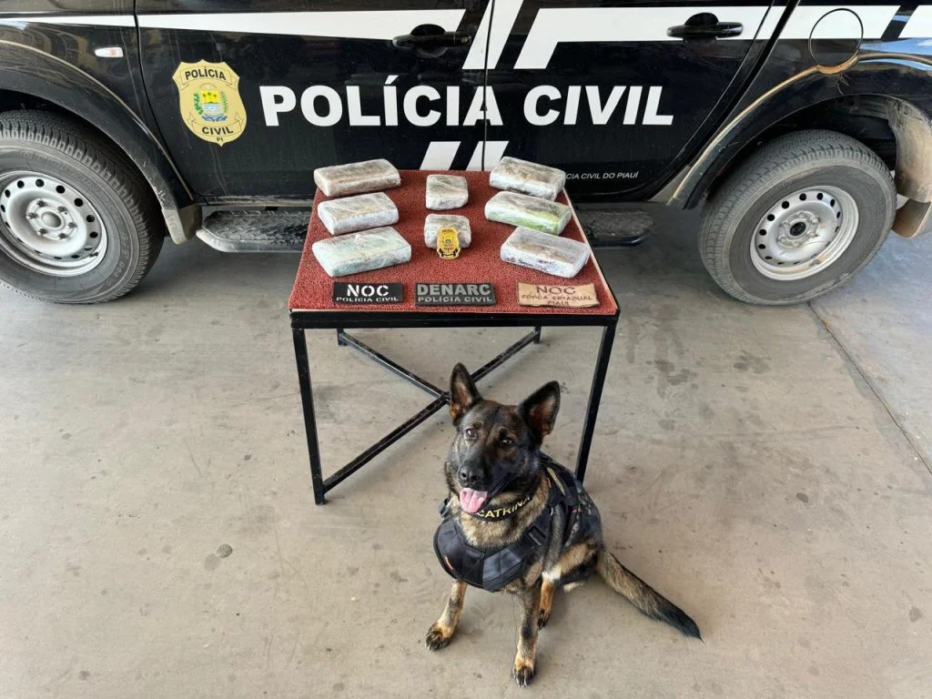 Morre K9 Catrina, cadela policial que combatia o crime no Piauí