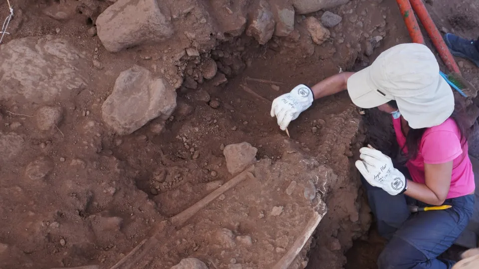 Esqueleto encontrado em praia de Tenerife pode ser de vítima da Peste Negra