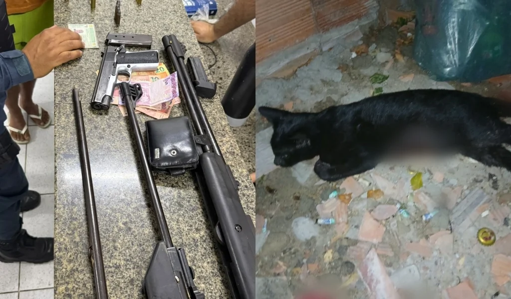 Homem é preso por suspeita de matar gato com tiro em Parnaíba e arsenal é apreendido