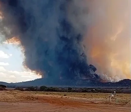 Incêndio atinge 2 mil hectares de mata no Piauí e mobiliza brigadistas