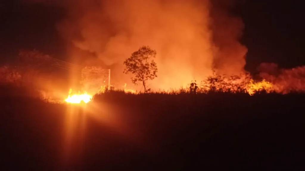 Incêndio atinge terreno da Embrapa Meio-norte em Teresina; animais estão seguros