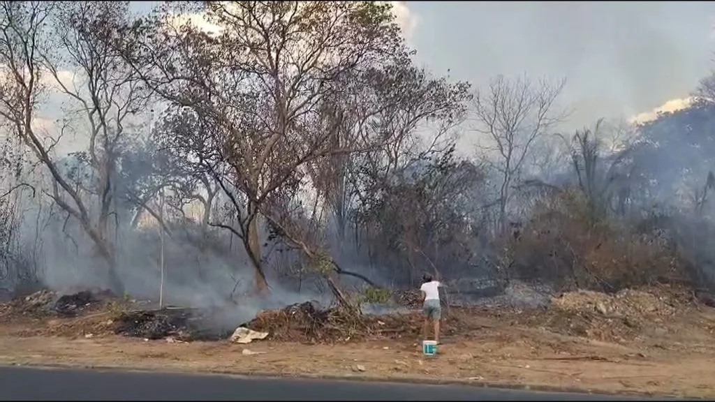 Incêndio em Teresina mobiliza moradores em combate às chamas