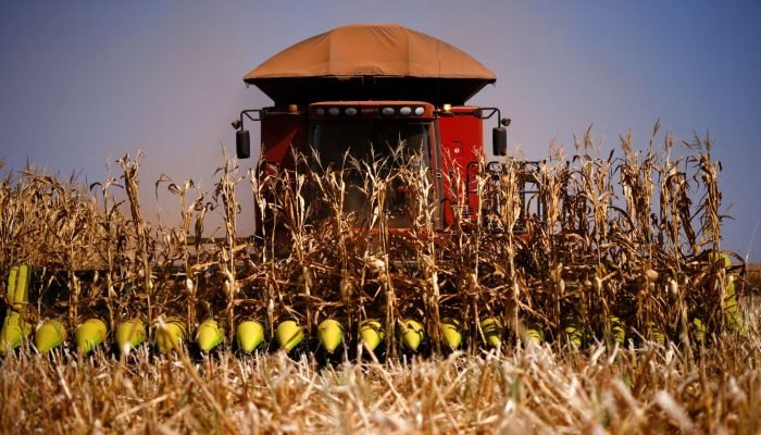 2025-07-11T225243Z_1_LYNXMPEL6A0Z0_RTROPTP_4_BRAZIL-CORN_red.jpg