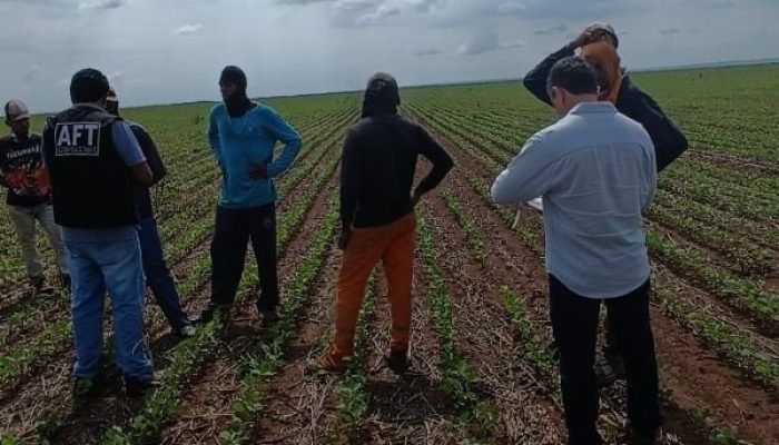 MPT realiza operação e resgata 23 trabalhadores em condições análogas à escravidão no Piau...