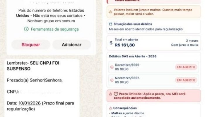 WhatsApp e site usados no golpe (Foto: Arquivo)