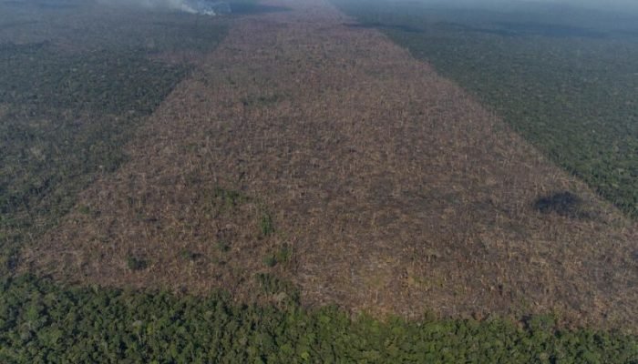 Amazônia tem ar mais poluído que metrópoles durante queimadas, diz estudo