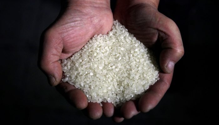 Arroz.jpg