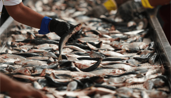 Ricardo Moraes / Reuters