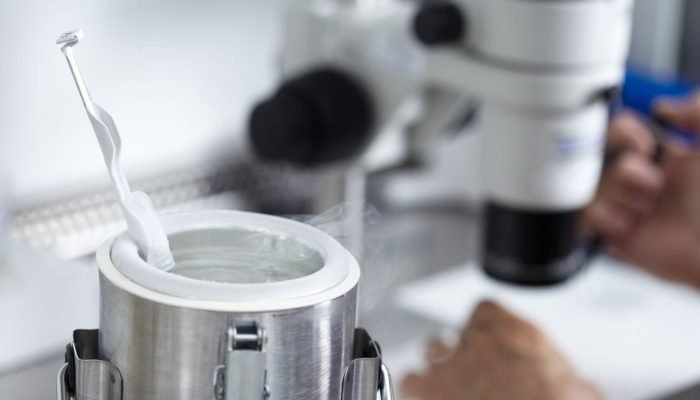 Especialistas explicam os objetivos do congelamento de óvulos a dr. Kalil