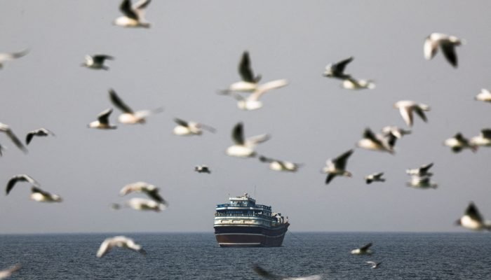 Pássaros voam perto de um navio no Estreito de Ormuz, em meio ao conflito entre Estados Unidos e...