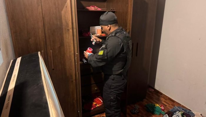 Operação aconteceu em três cidades do Piauí (Foto: Polícia Civil)