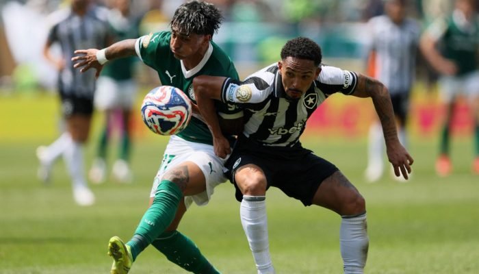 Palmeira_Botafogo.jpg